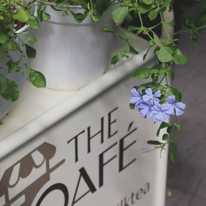 Bảng hiệu The Qafé bên hoa thanh tú xanh